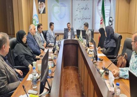 قاچاق کالاهای سلامت‌محور یکی از موانع سرمایه‌گذاری برای تولید است