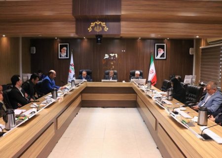 ارائه برنامه های سازمان فرهنگی به مناسبت دهه کرامت