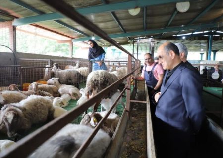 لزوم حمایت از واحدهای تولیدی و دامداری های دانش محور برای رونق اقتصادی منطقه