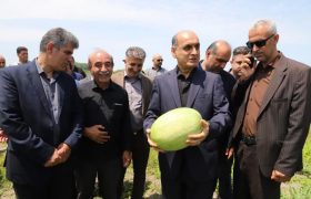 ایجاد زیرساخت صادرات کشاورزی، ضرورت امروز گیلان است