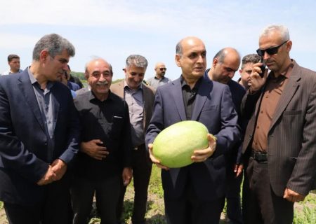 ایجاد زیرساخت صادرات کشاورزی، ضرورت امروز گیلان است
