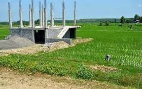 شناسایی ۸۶۳ فقره تغییر کاربری غیر مجاز اراضی کشاورزی در گیلان