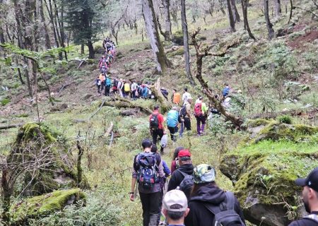 از کوهنوردان بخش کلاچای تجلیل شد